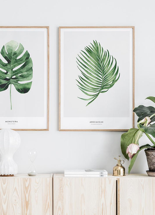 Watercolor arecaceae leaf poster for nursery and home wall decor.