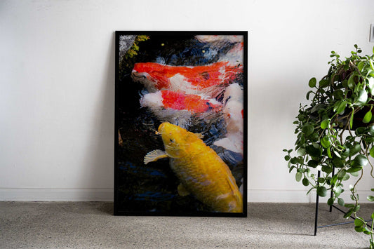 Carps Fish Asian Style Poster | Wall Art for Home & Office | High-Quality Print - High-quality vinyl skin wrap deca