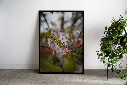 Cherry Blossom Asian Style Poster | Wall Art for Home & Office | High-Quality Print - High-Quality Visual Display