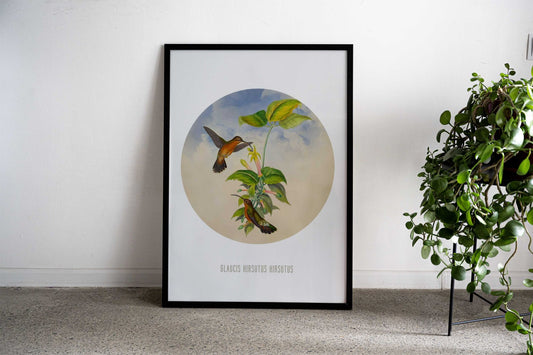 Hairy hermit Asian Style Poster | Wall Art for Home & Office | High-Quality Print - High-Quality Visual Display