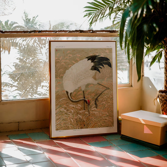 G.A. Audsley - Sarus Crane In Rice Field