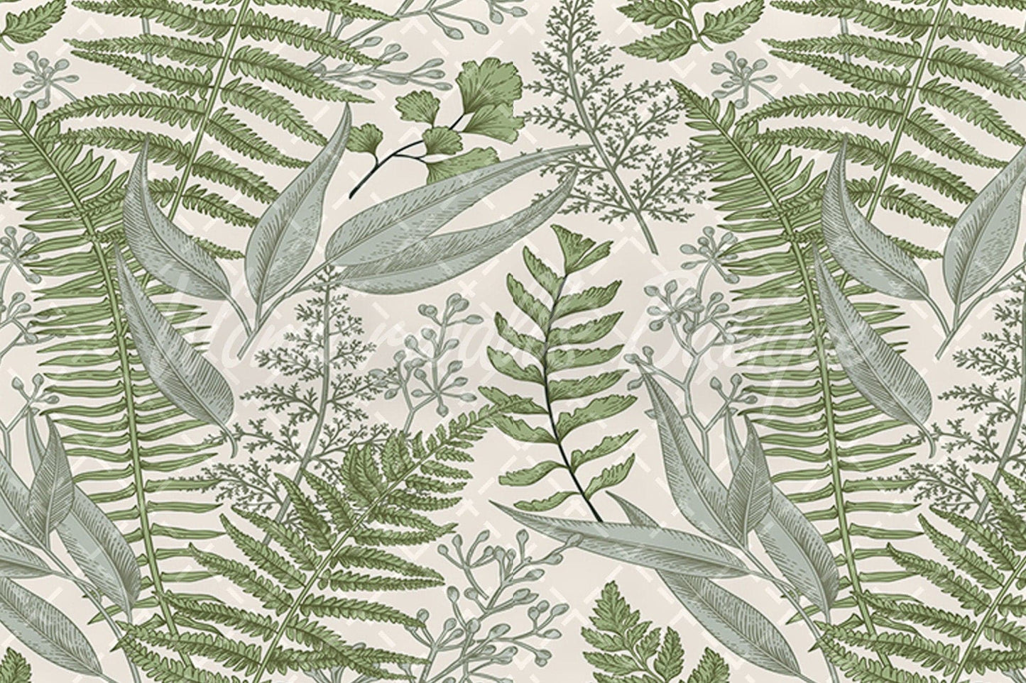 Ferns Compositon | Removable Wallpaper | Self-adhesive | Temporary wallpaper #116