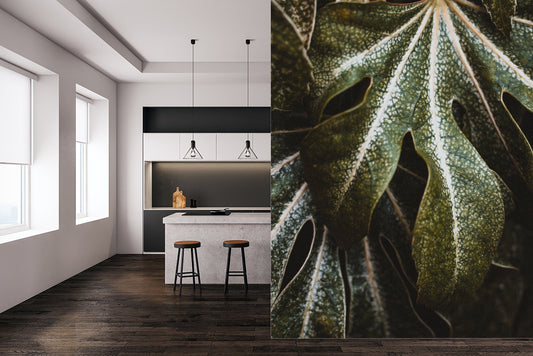 Monstera Palm Leaf Close Up Wallpaper, Exotic Removable Wall Paper with Monstera Leaves, Green Jungle Mural, Peel and stick, Wall Art