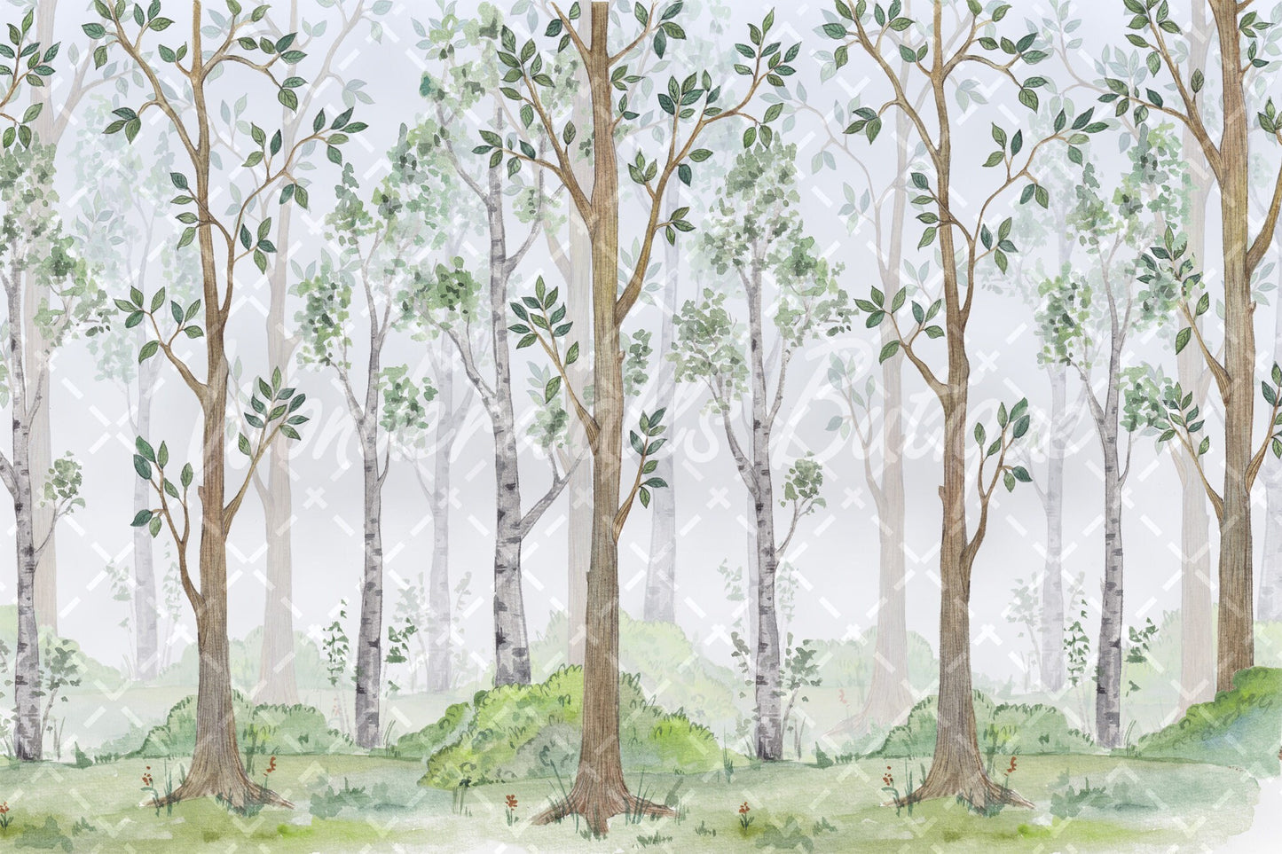 Wallpaper, photo wallpaper, nursery, woodland, birches, watercolor, colored pencil, nature, baby room, desired color, motif wallpaper