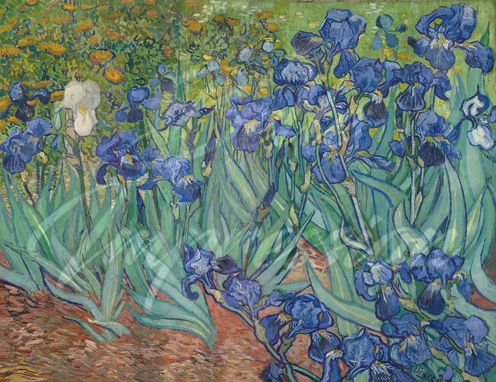 Irises by Van Gogh Wallpaper, large iris wallpaper mural, wallpaper print, van gogh wall paper, floral wallpaper, dutch painting