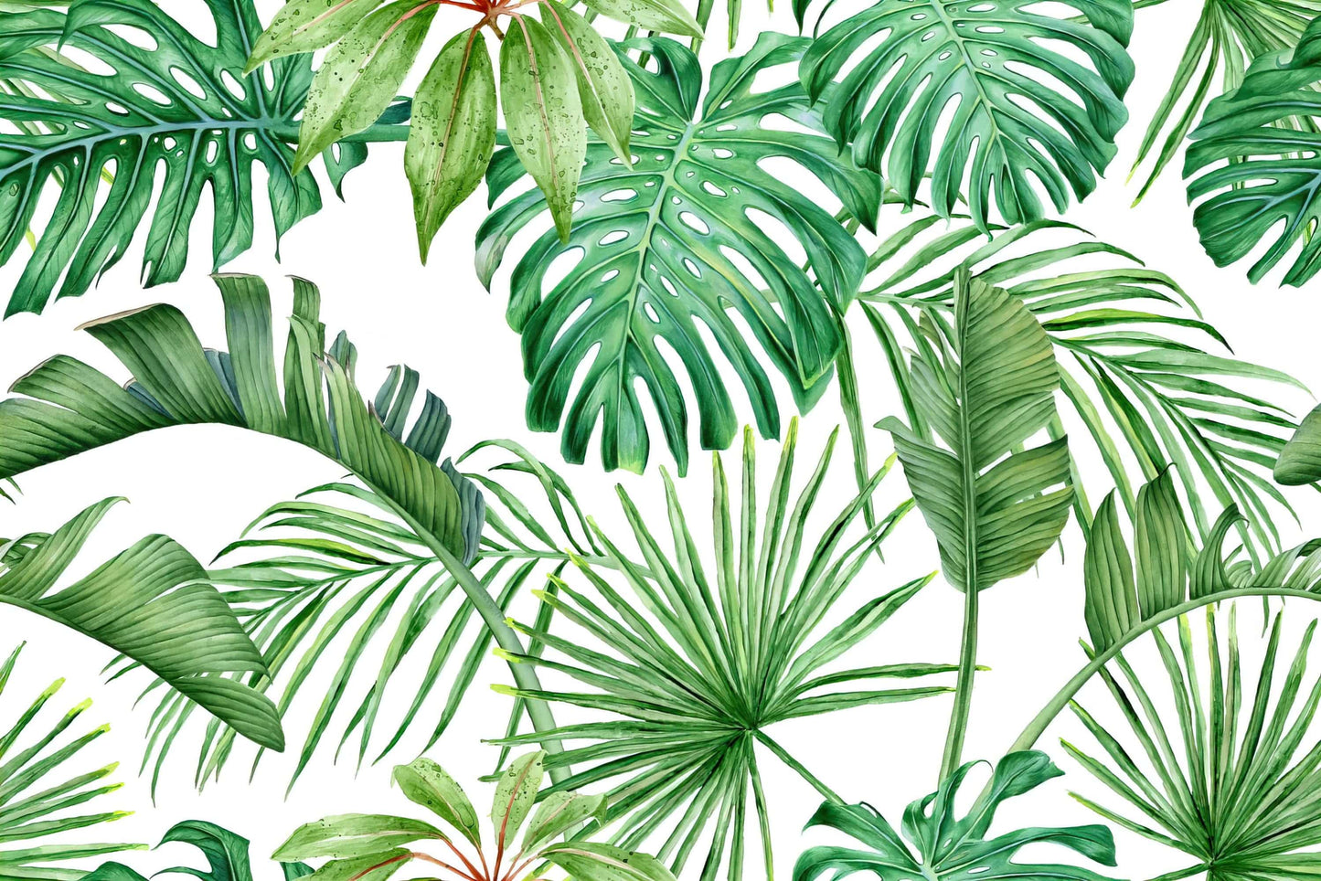 Monstera Palms Peel and Stick Wallpaper | Removable Tropical Leaves Mural | Self Adhesive or Pre-Pasted Wallpaper | Eco Friendly