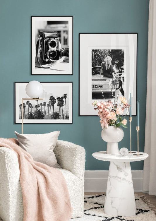 Old Style Camera Poster