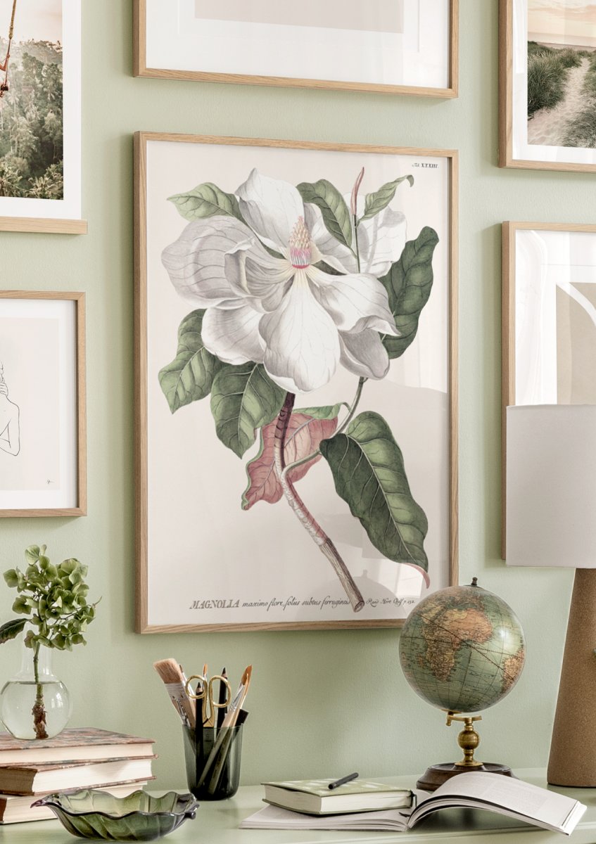 Vintage Magnolia Poster