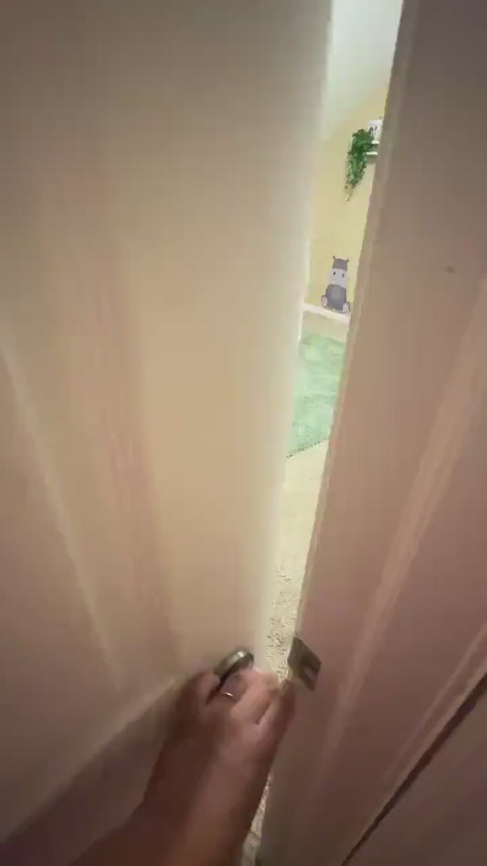 Safari and Jungle Animal Wall Decals Repositionable Wall Stickers