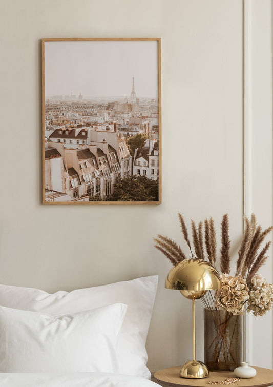 Rooftops in Paris Poster