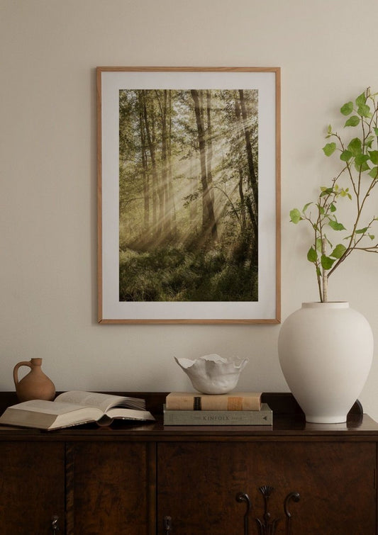 Sunlit Forest Poster