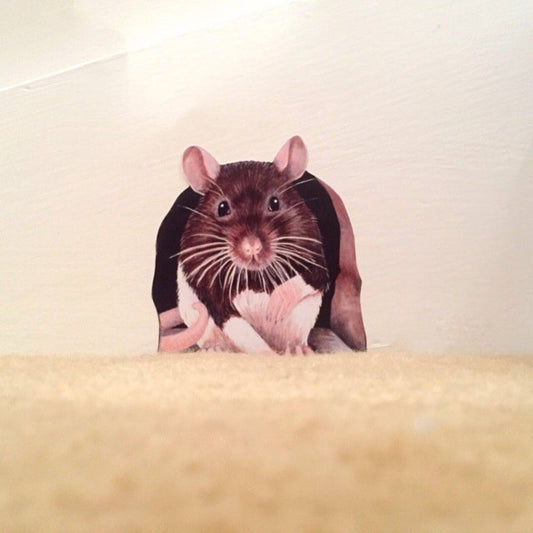 Charming Rat Wall Sticker - Easy to Apply, Reposition and Remove