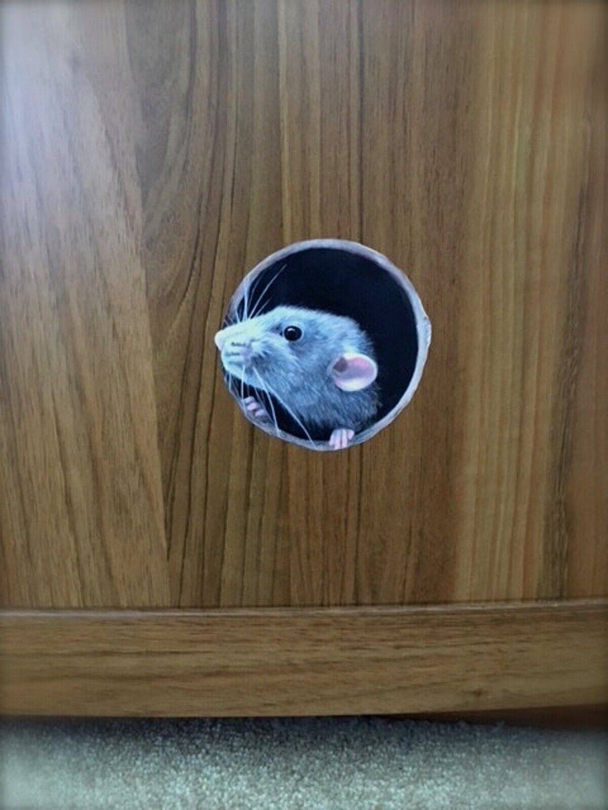Playful Rat Wall Art Sticker - Matt Vinyl, Removable and Repositionable