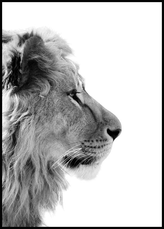 Watercolor lion profile poster for nursery and home wall decor.