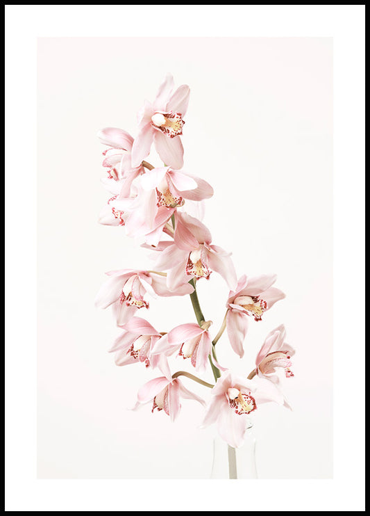 Watercolor orchid flower poster for nursery and home wall decor.