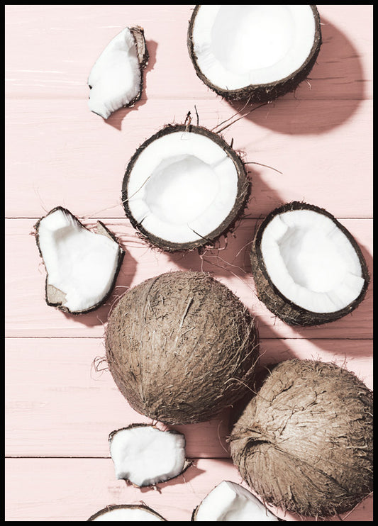 Coconuts on Pink Poster