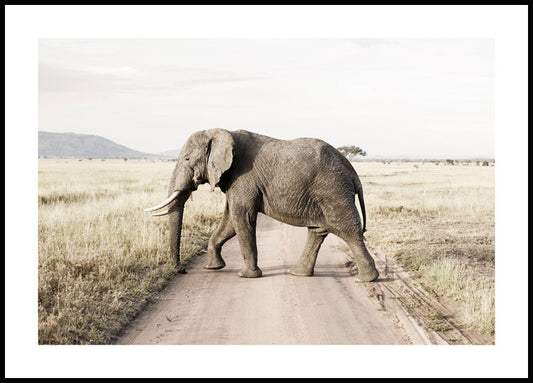 Watercolor elephant on the road poster for nursery and home wall decor.