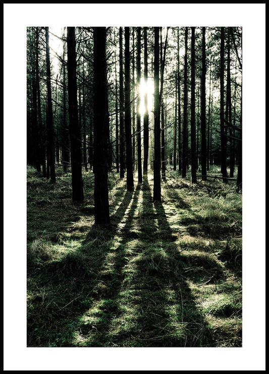 Watercolor forest sunlight poster for nursery and home wall decor.