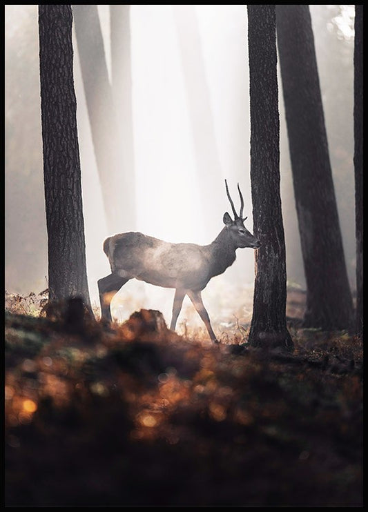 Watercolor deer in forest poster for nursery and home wall decor.
