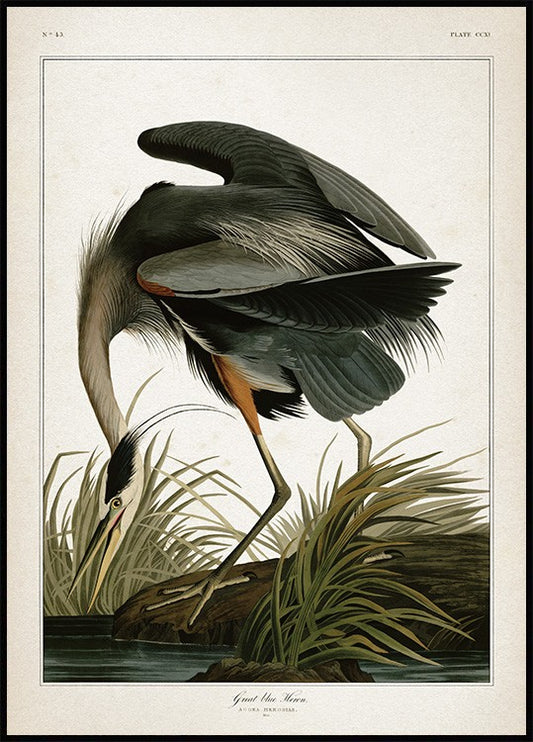 Watercolor great blue heron poster for nursery and home wall decor.