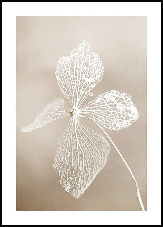 Watercolor dried flower poster for nursery and home wall decor.