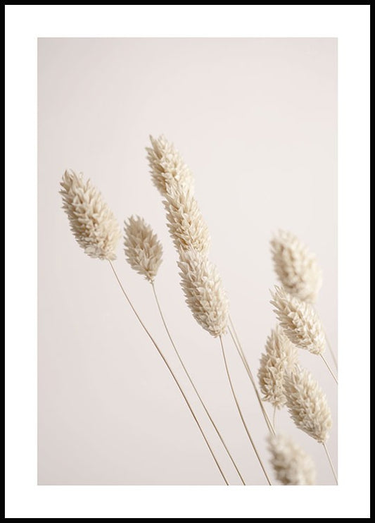 Dried Grass Poster