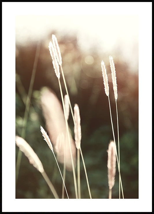 Watercolor evening summer field poster for nursery and home wall decor.