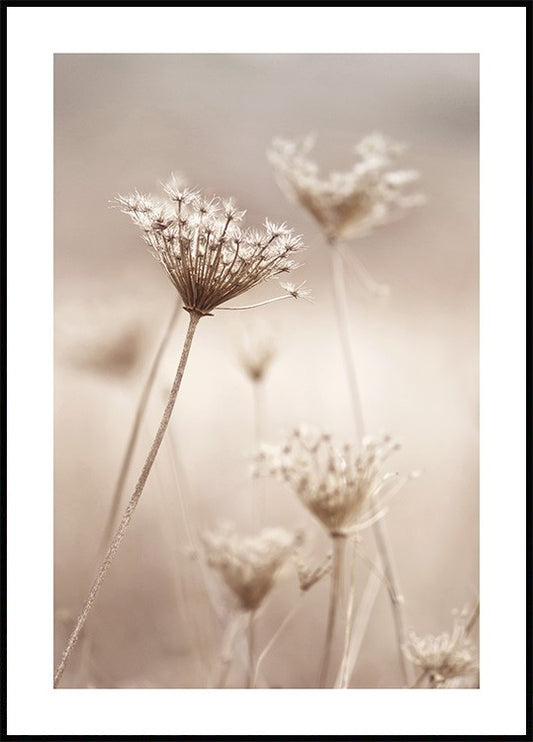 Watercolor dry flowers poster for nursery and home wall decor.