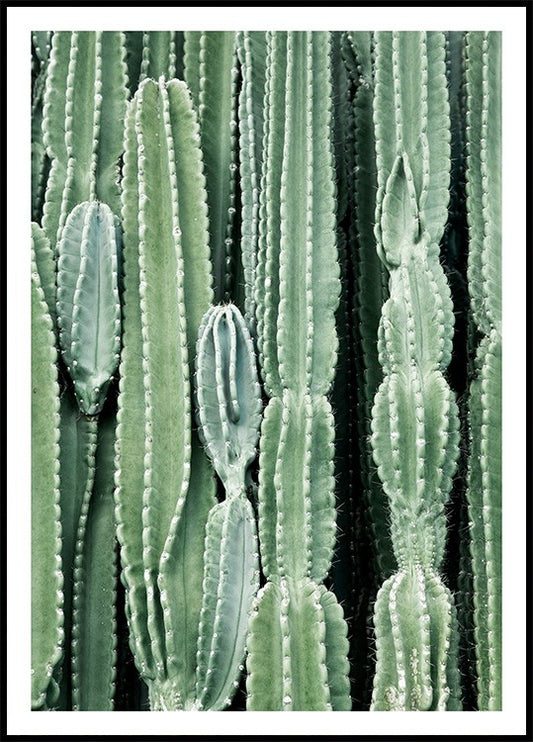 Watercolor cactus poster for nursery and home wall decor.