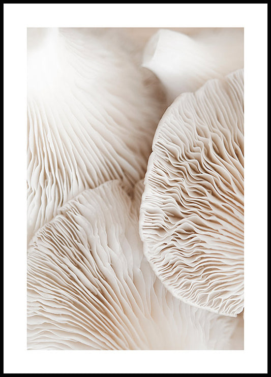 Watercolor mushroom dream poster for nursery and home wall decor.