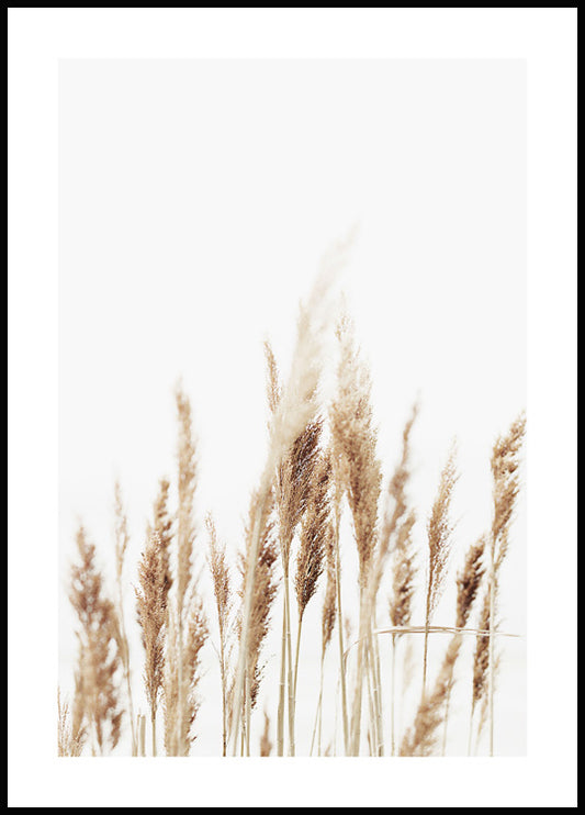 Watercolor reeds poster for nursery and home wall decor.