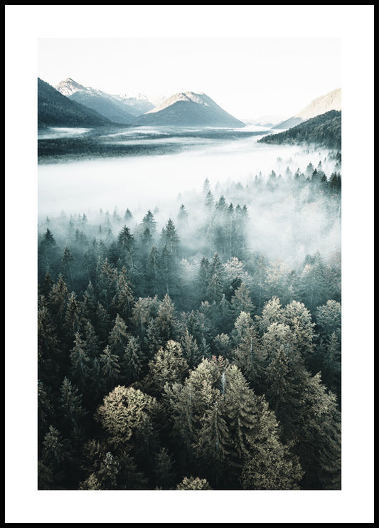 Cloudy Forest Poster