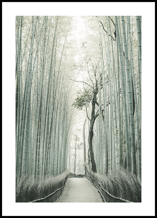 Watercolor bamboo forest poster for nursery and home wall decor.