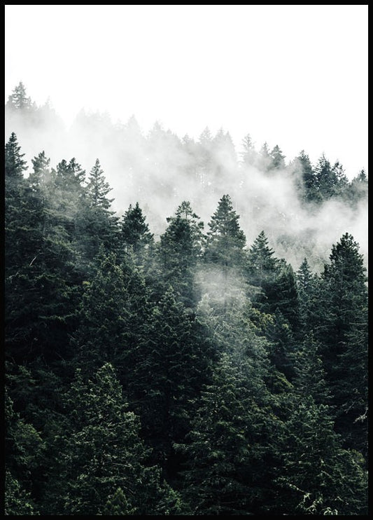 Watercolor misty forest poster for nursery and home wall decor.
