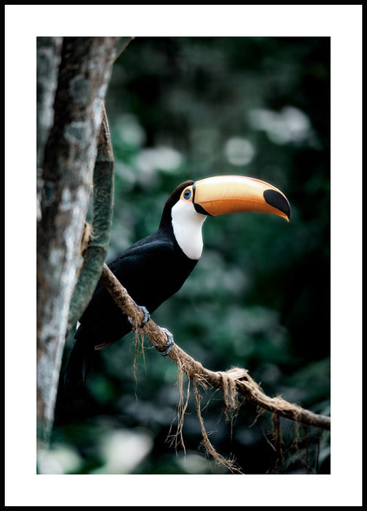 Watercolor tropical bird poster for nursery and home wall decor.