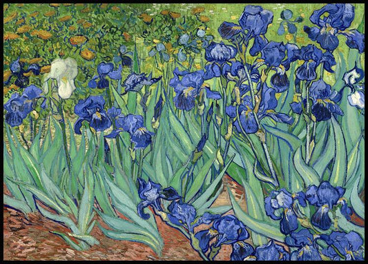Watercolor vincent van gogh irises poster for nursery and home wall decor.