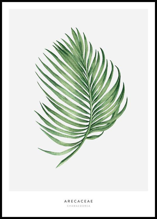 Watercolor arecaceae leaf poster for nursery and home wall decor.