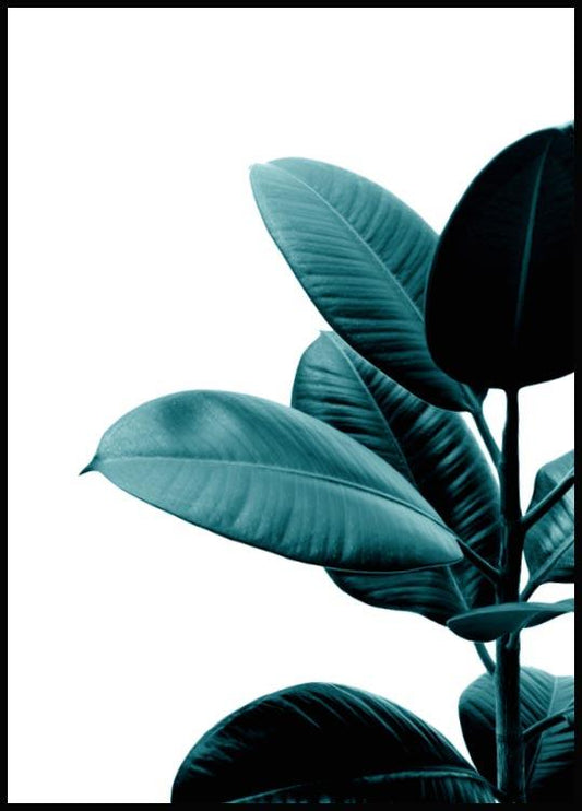 Watercolor green rubber plant poster for nursery and home wall decor.