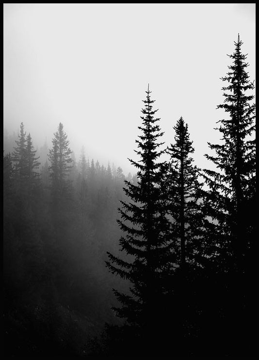 Watercolor dark forest poster for nursery and home wall decor.