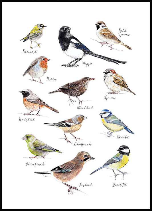 Watercolor birds poster for nursery and home wall decor.