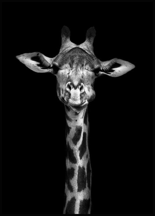 Watercolor curious giraffe poster for nursery and home wall decor.