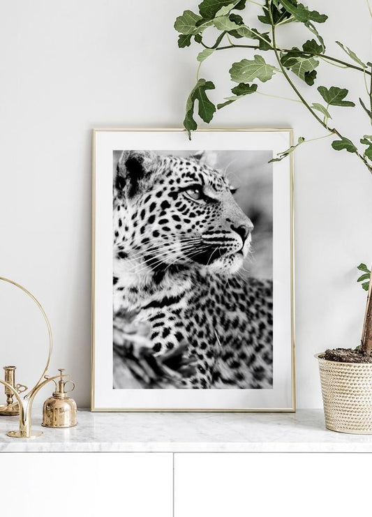 Watercolor snow leopard poster for nursery and home wall decor.