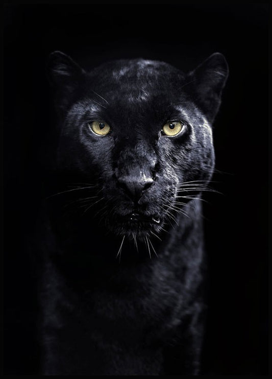 Watercolor panther poster for nursery and home wall decor.