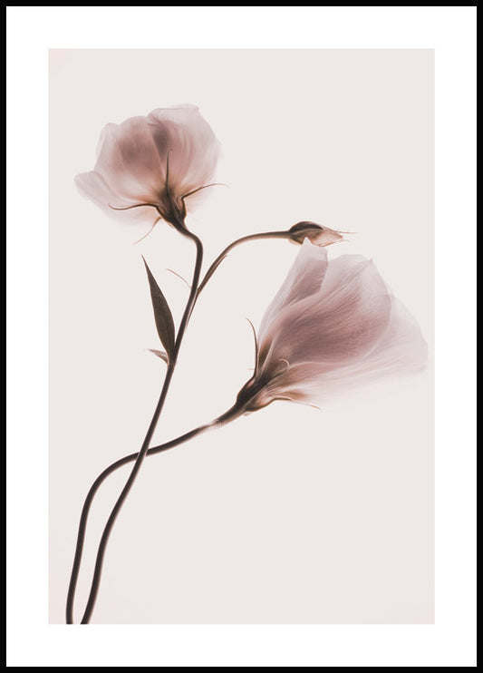 Watercolor pink pastel flowers no1 poster for nursery and home wall decor.