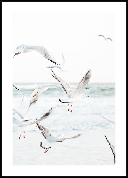 Watercolor flying seagulls poster for nursery and home wall decor.