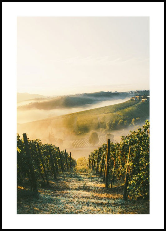 Watercolor vineyard poster for nursery and home wall decor.