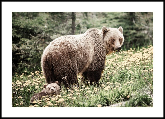 Watercolor bear family poster for nursery and home wall decor.