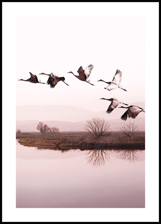 Cranes over Lake Poster