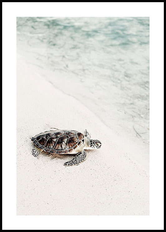 Watercolor turtle on the beach poster for nursery and home wall decor.