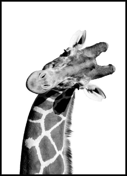 Watercolor giraffe portrait poster for nursery and home wall decor.